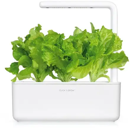 Smart Garden Hlavkový salát
