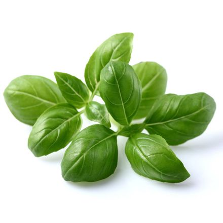 Click And Grow Bazalka