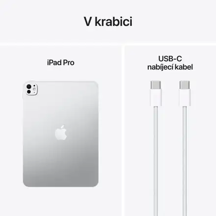 iPad Pro 11" Wi-Fi 256GB Stříbrný (2025)