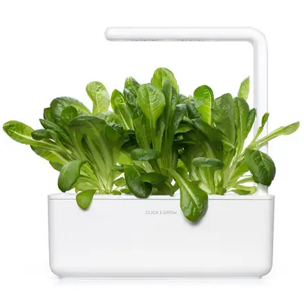 Smart Garden Římský salát