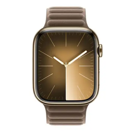 Apple Watch 45mm Taupe Magnetic Link-M/L