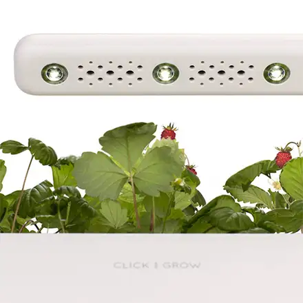 Click And Grow Smart Garden 3, béžový květináč