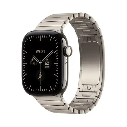 Apple Watch 42mm Natural Link Bracelet