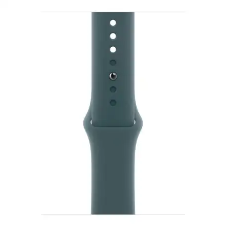 Apple Watch 46mm Lake Green Sport Band - M/L