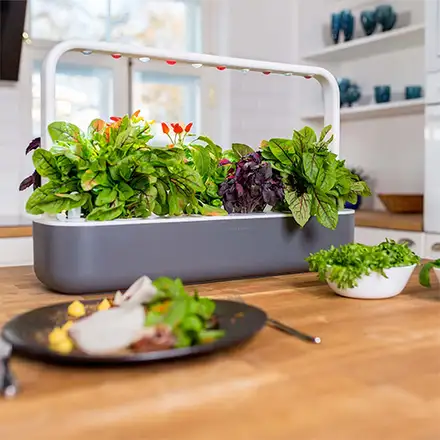 Click and Grow Smart Garden 9 šedý