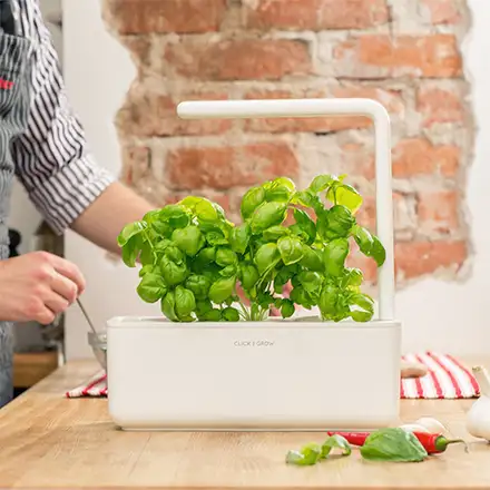 Click And Grow Smart Garden 3, bílý květináč