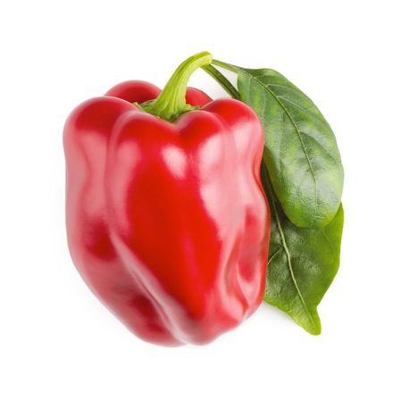 Smart Garden Červená paprika, sladká