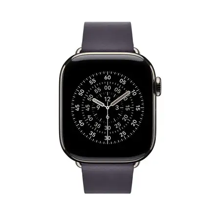Apple Watch 42mm Midnight Purple Modern Buckle - Large