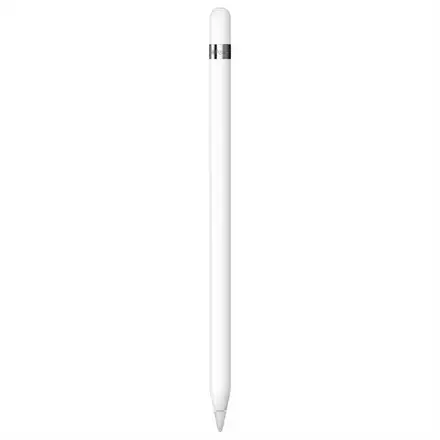 Apple Pencil (1. generace) + USB-C adaptér