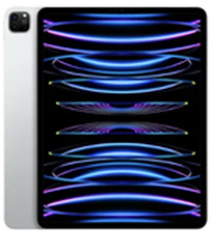iPad Pro 12.9" (2022)