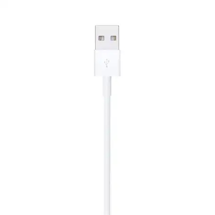 Apple Lightning to USB Cable (1m)