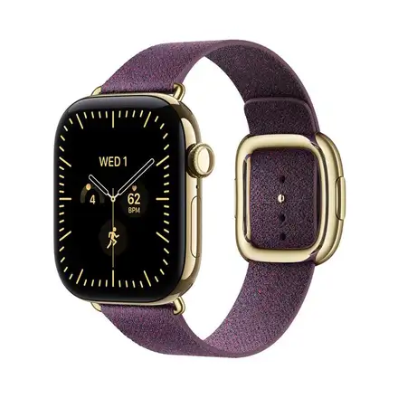 Apple Watch 42mm Mulberry Modern Buckle-Small