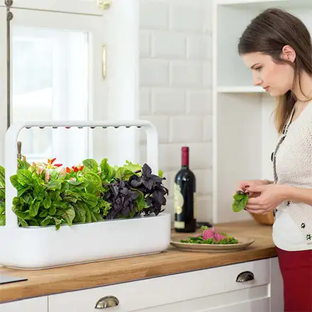 Click and Grow Smart Garden 9 bílý