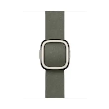 Apple Watch 42mm Sage Gray Modern Buckle - Medium