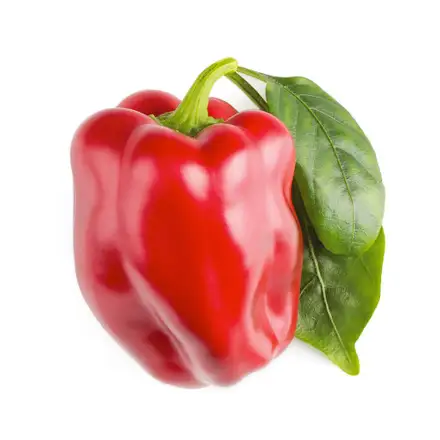 Smart Garden Červená paprika, sladká