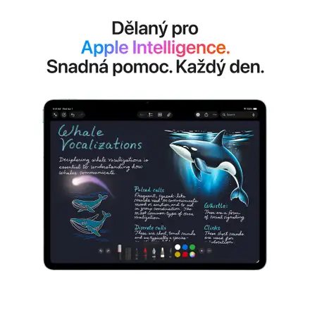 iPad Air 13" Wi-Fi + Cellular 512GB Vesmírně šedý (2026)