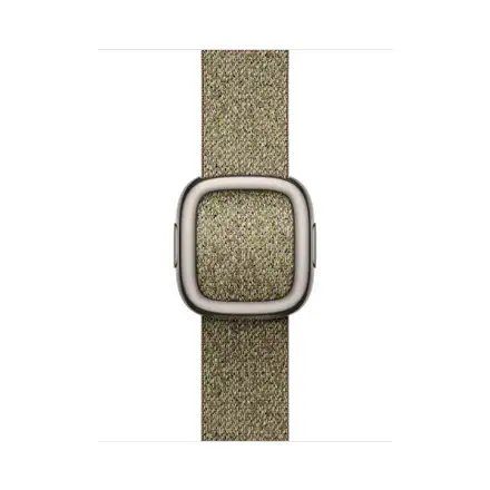Apple Watch 42mm Sage Modern Buckle-Large