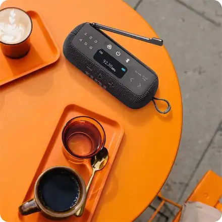 JBL Tuner 3 Black reproduktor