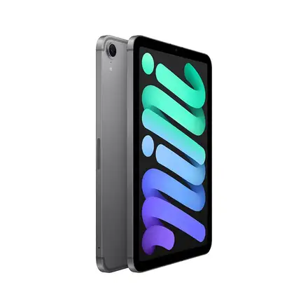 iPad mini Wi-Fi + Cellular 512GB Vesmírně šedý (2024)