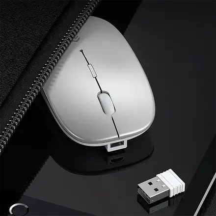 Devia myš Lingo Series 2.4G+Wireless Dual Mode Mouse - Silver