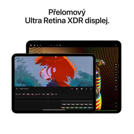 iPad Pro 13" Wi-Fi 1TB Vesmírně černý (2024)