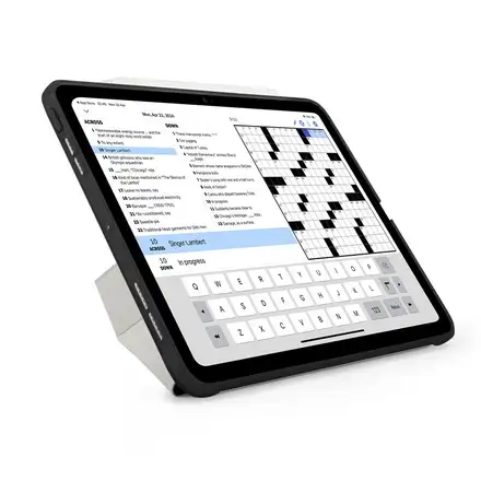 Pipetto pouzdro Origami No1 Original Case pro iPad Pro 11" (2024)-Black