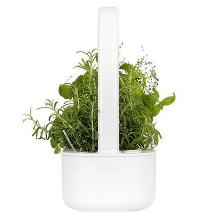 Click and Grow Smart Garden 9 bílý