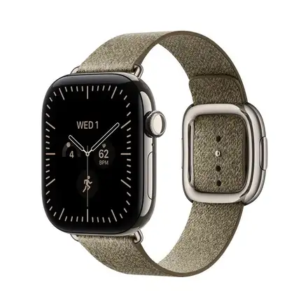 Apple Watch 42mm Sage Modern Buckle-Small