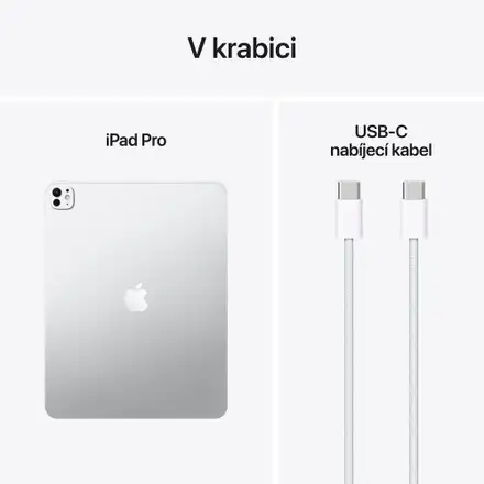 iPad Pro 13" Wi-Fi 256GB Stříbrný (2025)