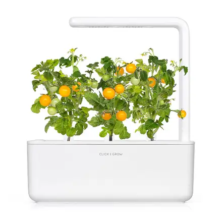 Click and Grow Mix ovoce a zeleniny  3-pack