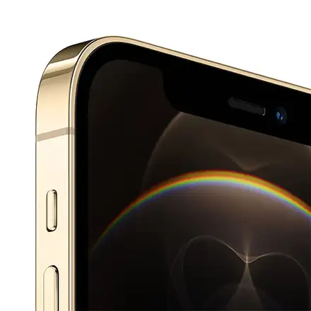 iPhone 12 Pro 256 GB Zlatý *Použitý s DPH – Třída A*