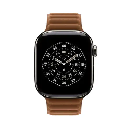 Apple Watch 42mm Caramel Magnetic Link - S/M