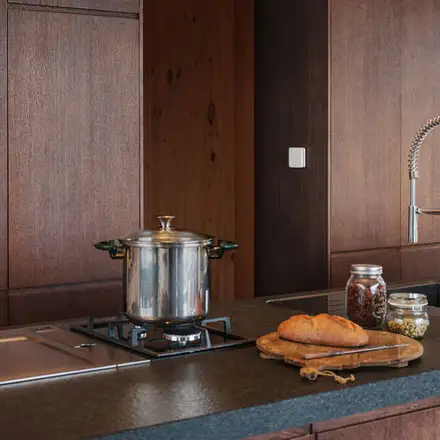 Netatmo Smart Carbon Monoxide Alarm