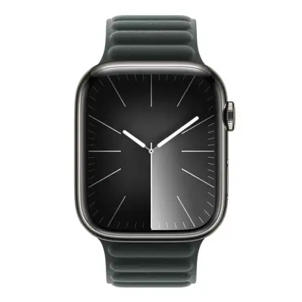 Apple Watch 45mm Evergreen Magnetic Link-M/L