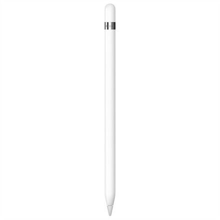 Apple Pencil (1. generace) + USB-C adaptér