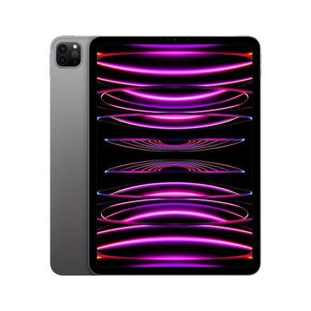 iPad Pro 11" Wi-Fi 512GB Vesmírně šedý (2022) *Třída A*