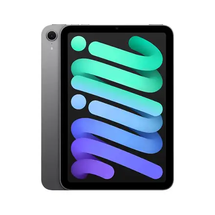 iPad mini Wi-Fi 256GB Vesmírně šedý (2024)