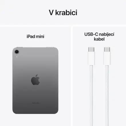 iPad mini Wi-Fi 256GB Vesmírně šedý (2024)