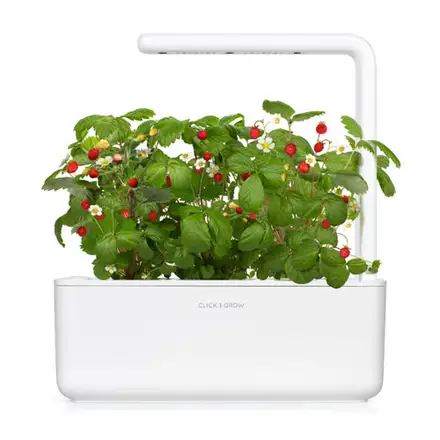 Click and Grow Mix ovoce a zeleniny  3-pack
