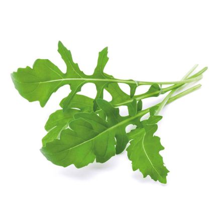 Click and Grow Rukola