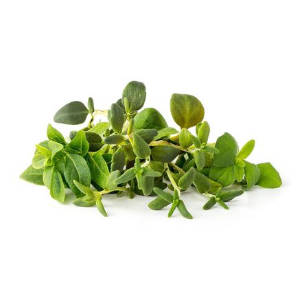Click and Grow Mix Italských bylinek  3-pack