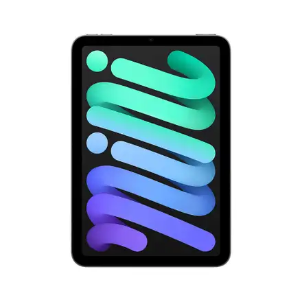 iPad mini Wi-Fi 256GB Vesmírně šedý (2024)