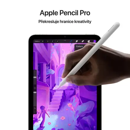 iPad mini Wi-Fi 256GB Vesmírně šedý (2024)