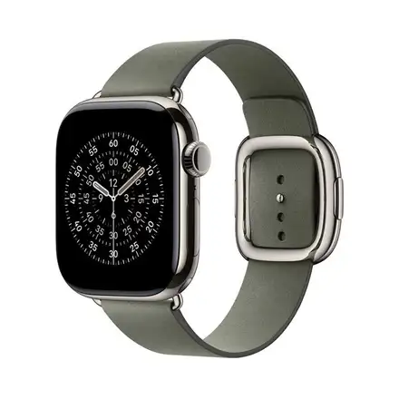 Apple Watch 42mm Sage Gray Modern Buckle - Medium