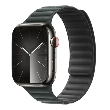 Apple Watch 45mm Evergreen Magnetic Link-M/L