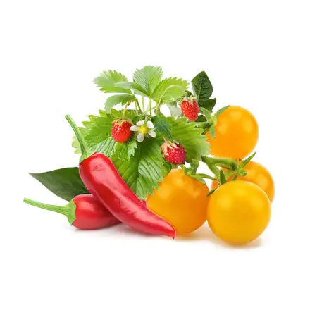 Click and Grow Mix ovoce a zeleniny  3-pack