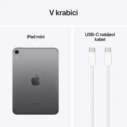 iPad mini Wi-Fi + Cellular 128GB Vesmírně šedý (2024)