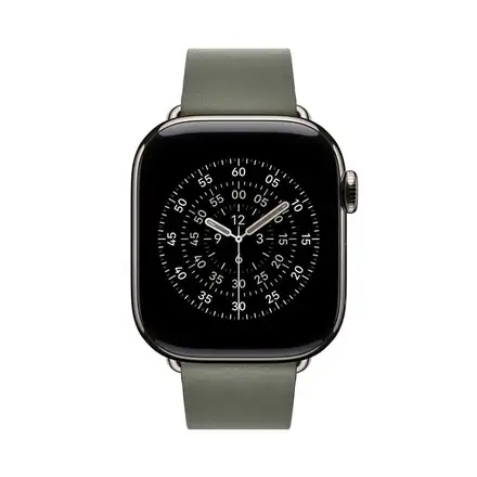 Apple Watch 42mm Sage Gray Modern Buckle - Medium
