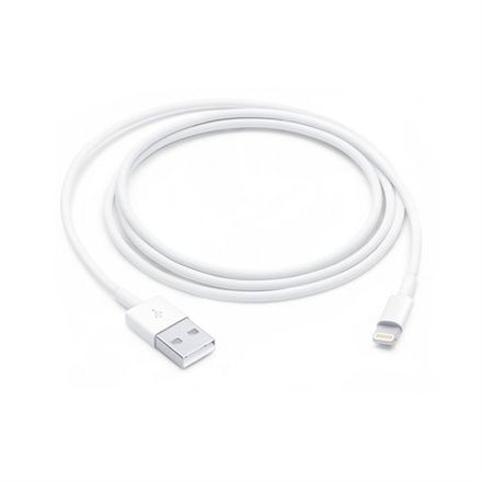 Apple Lightning to USB kabel (1m)
